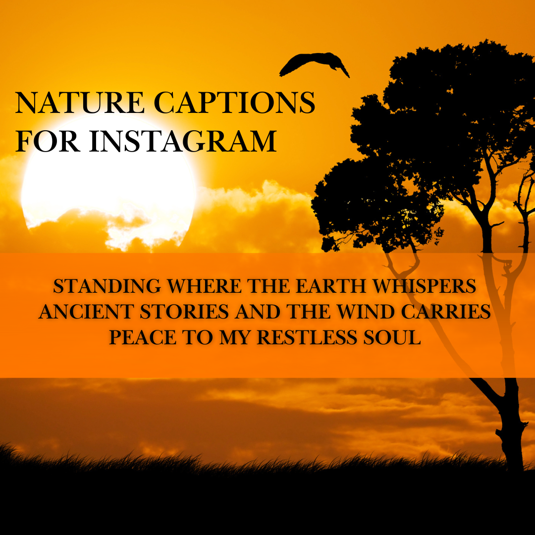 nature captions for Instagram
