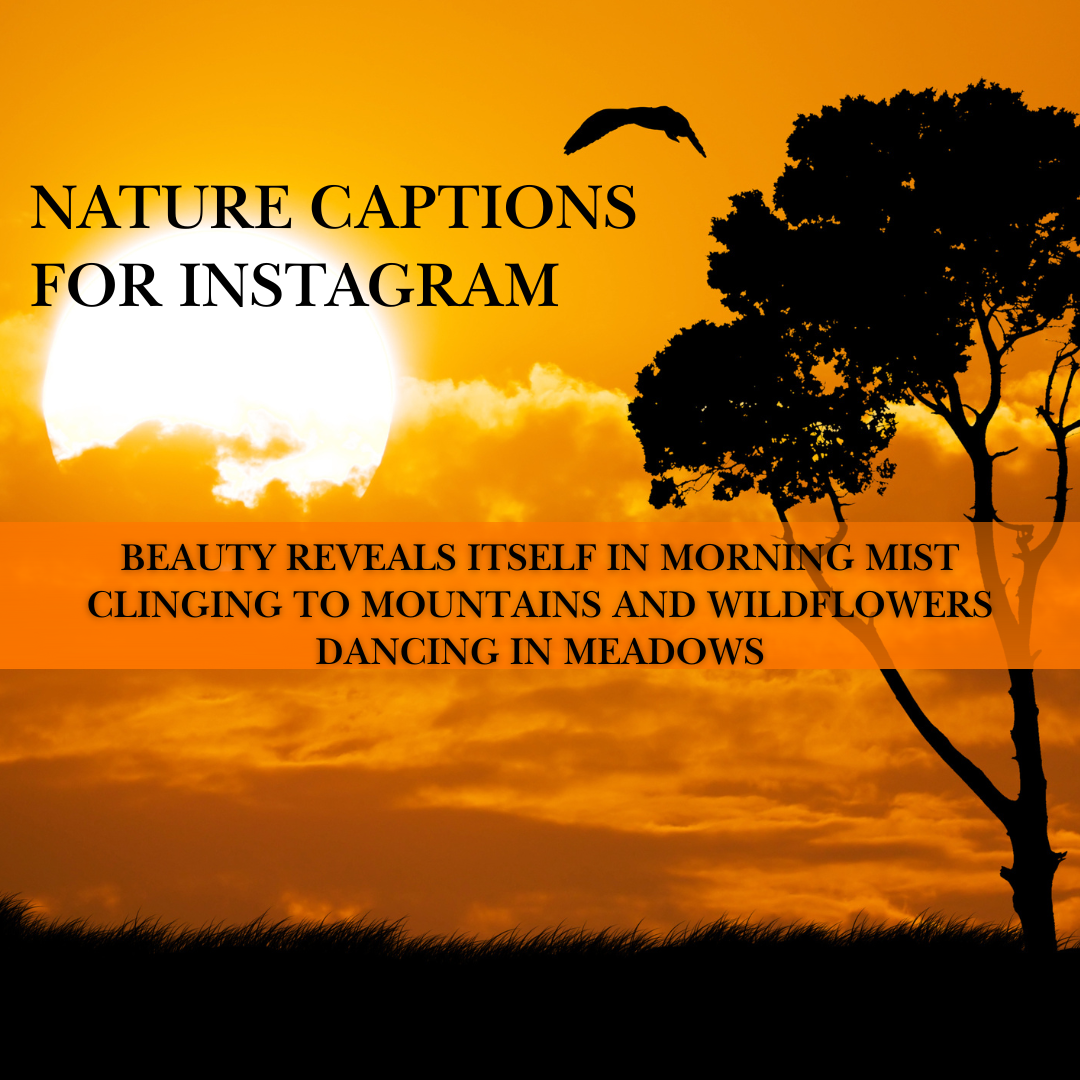 nature captions for Instagram