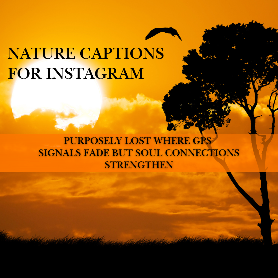 nature captions for Instagram