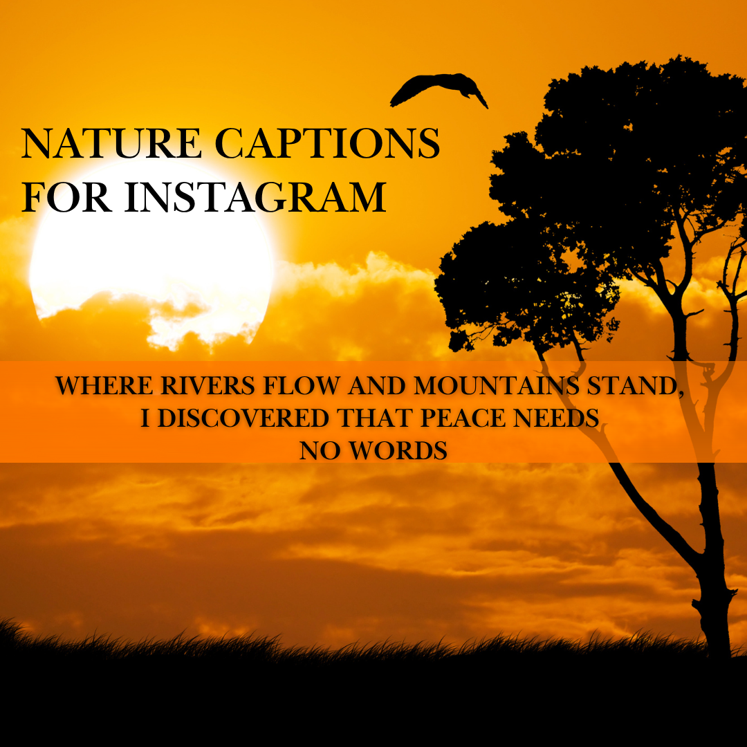 nature captions for Instagram