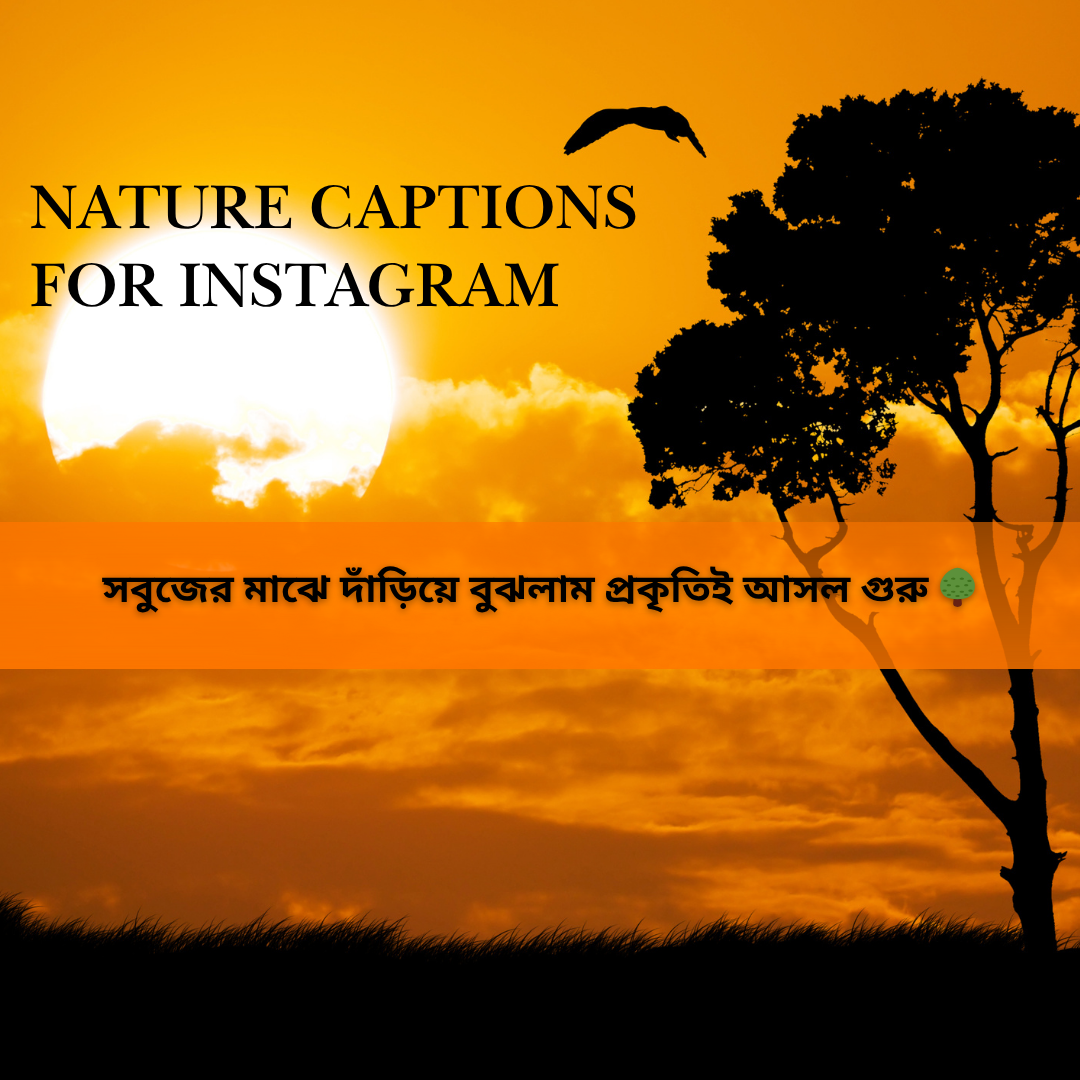 nature captions for Instagram