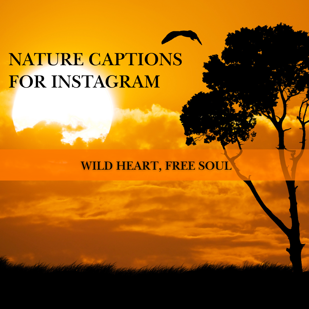 nature captions for Instagram