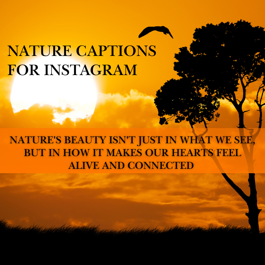 nature captions for Instagram