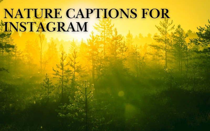 150+Nature Captions for Instagram – Perfect Quotes for Posts & Reels nature captions for Instagram