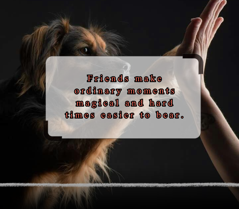 happy friendship day quotes