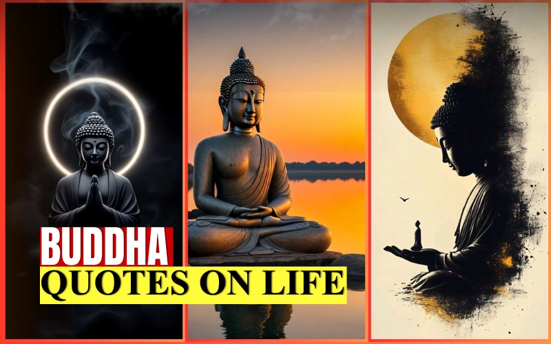 50+ Best Buddha Quotes on Life | Simple Words for Peace Positive Thinking – Caption Frame buddha quotes on life