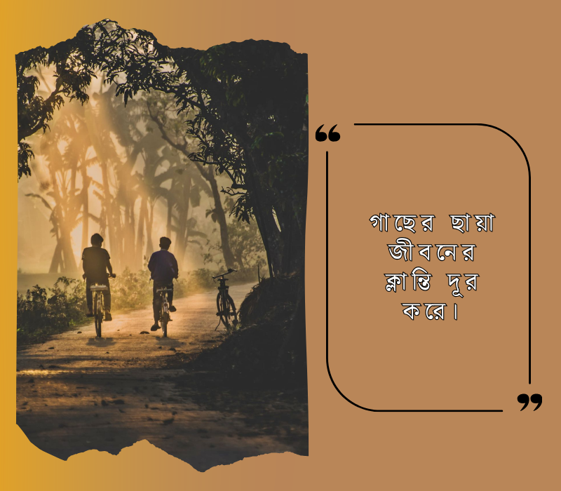 গাছের ছায়া জীবনের ক্লান্তি দূর করে।