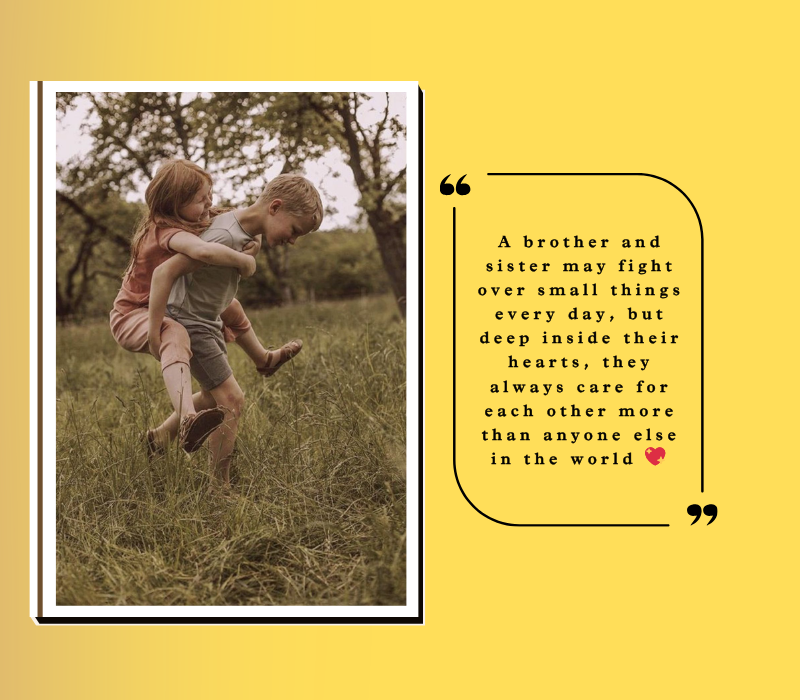 heart touching emotional brother and sister quote